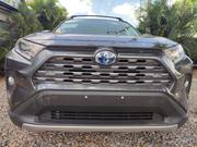 Toyota RAV4 Limited AWD 2019 Gray for sale