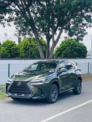Lexus NX 350 Luxury AWD 2024 Green for sale