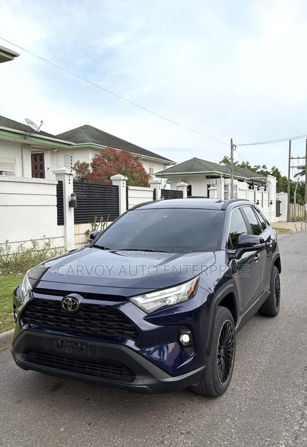 Toyota RAV4 XLE AWD 2020 Blue