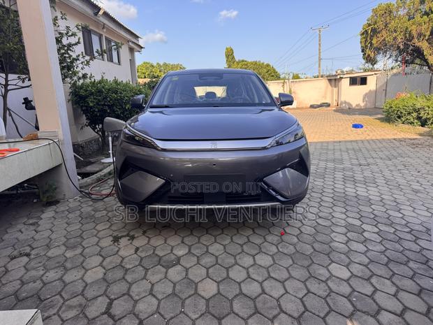 New BYD Yuan Plus 2025 Gray