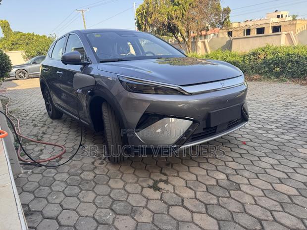 New BYD Yuan Plus 2025 Gray