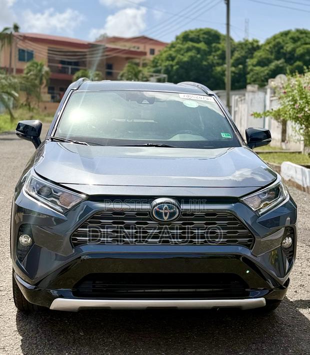Toyota RAV4 XSE 2019 Gray