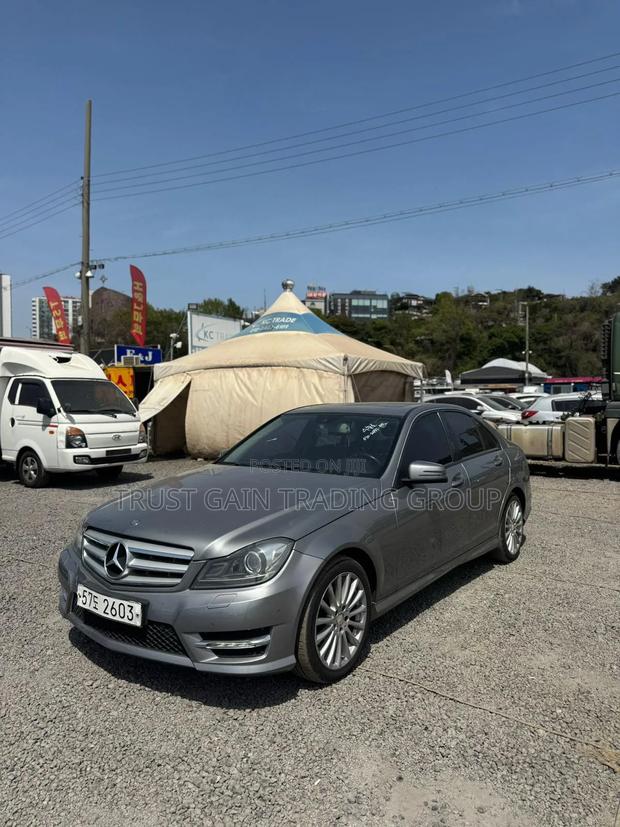 Mercedes-Benz C220 Classic 2014 Silver