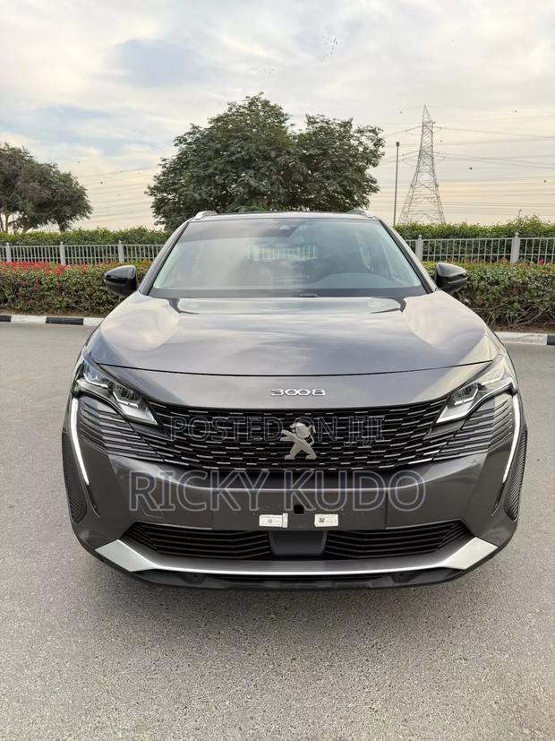 Peugeot 3008 2023 Gray