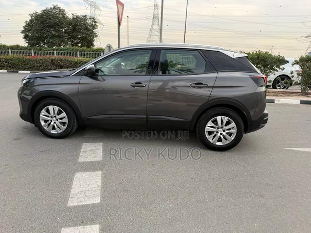 Peugeot 3008 2023 Gray