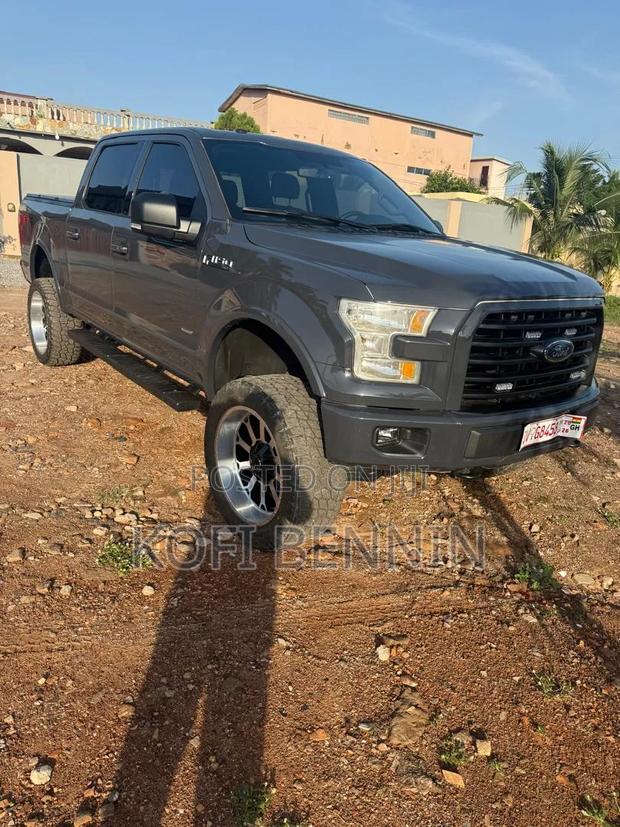 Ford F-150 2017 Gray