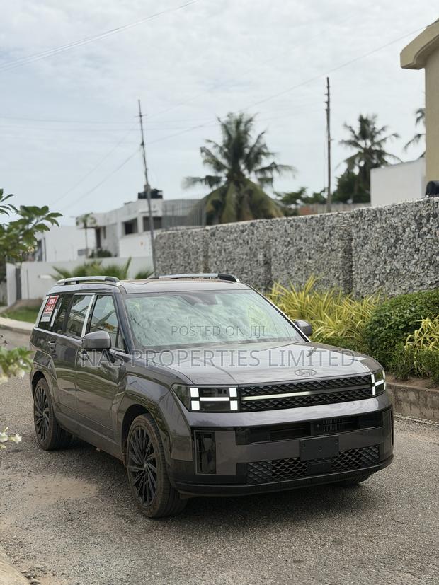 New Hyundai Santa Fe Calligraphy 2024 Gray
