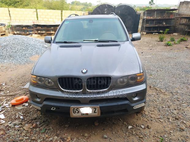 BMW X5 3.0i Sport 2008 Gray