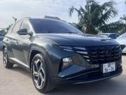 Hyundai Tucson Limited 2024 Green for sale