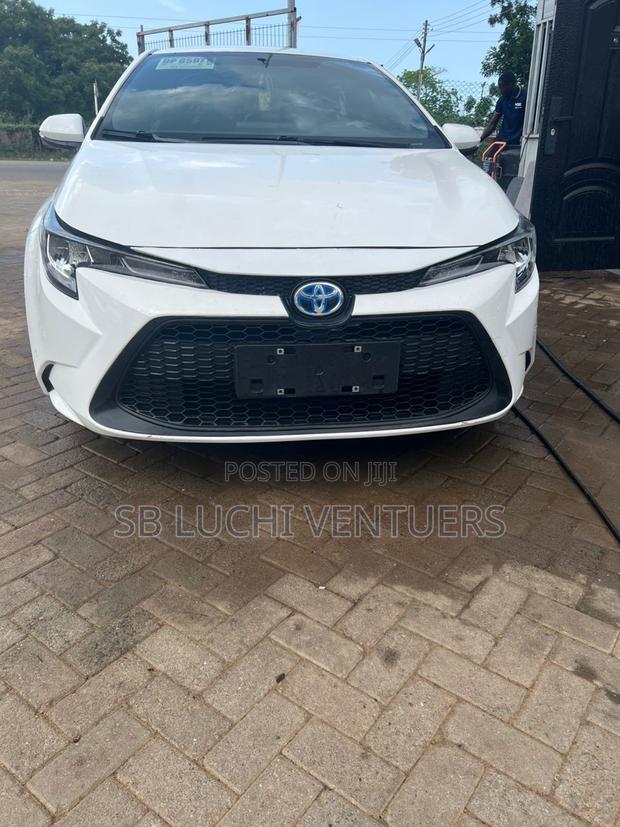 Toyota Corolla LE 2023 White