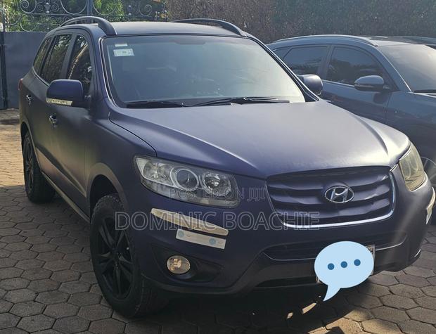 Hyundai Santa Fe Limited 2010 Blue