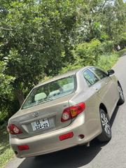 Toyota Corolla LE 4dr Sedan (1.8L 4cyl 4A) 2010 Gold for sale
