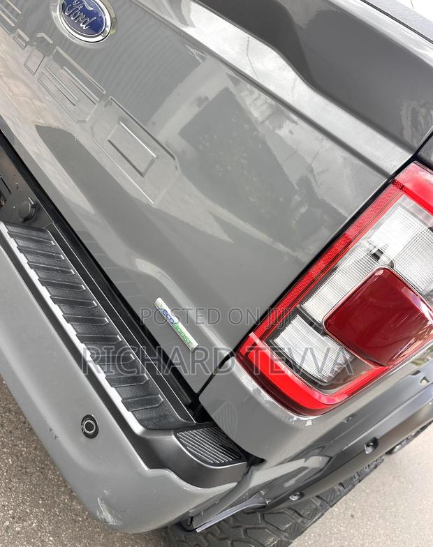 Ford F-150 Platinum 2021 Gray