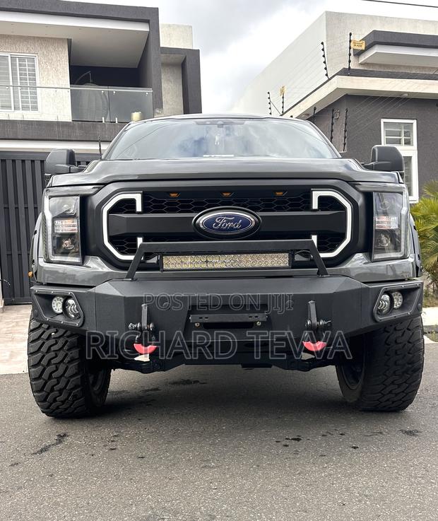 Ford F-150 Platinum 2021 Gray