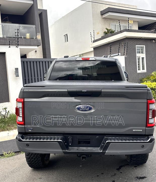 Ford F-150 Platinum 2021 Gray