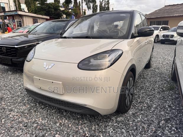 New Wuling Bingo 2025 White