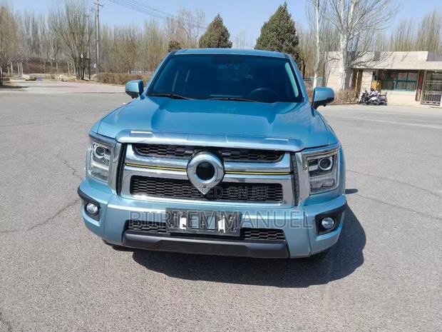 Great Wall King Kong Poer 2023 Blue