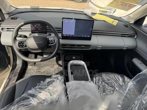 New Dongfeng Nammi 01 2025 White