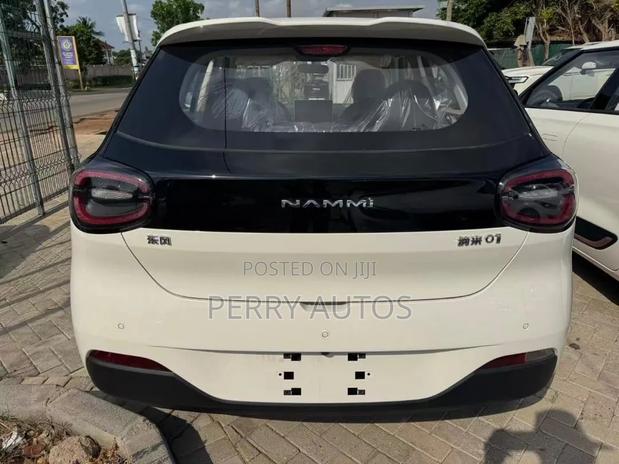 New Dongfeng Nammi 01 2025 White
