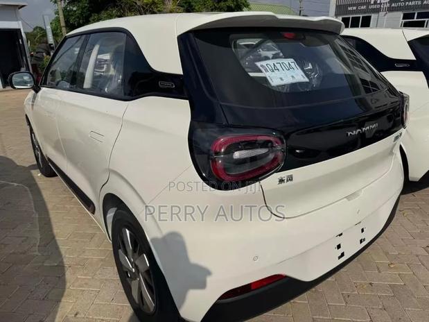 New Dongfeng Nammi 01 2025 White