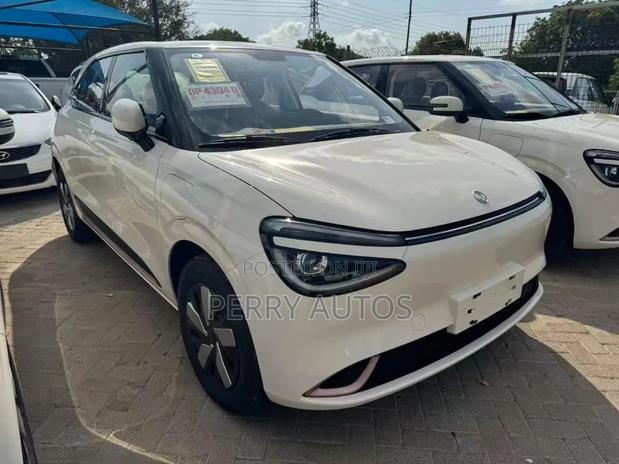 New Dongfeng Nammi 01 2025 White