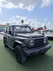 New BAW BJ2020 2025 Gray for sale