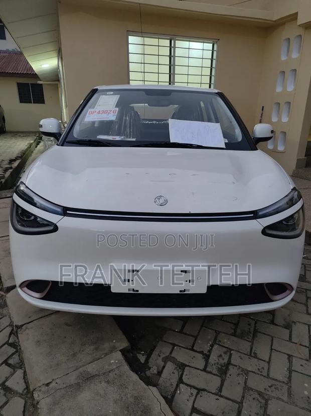 New Dongfeng Nammi 01 31.45 kWh 330 Plus 2025 White