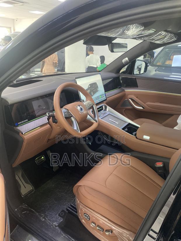 New Denza N9 2.0 Hybrid AWD 2025 Black