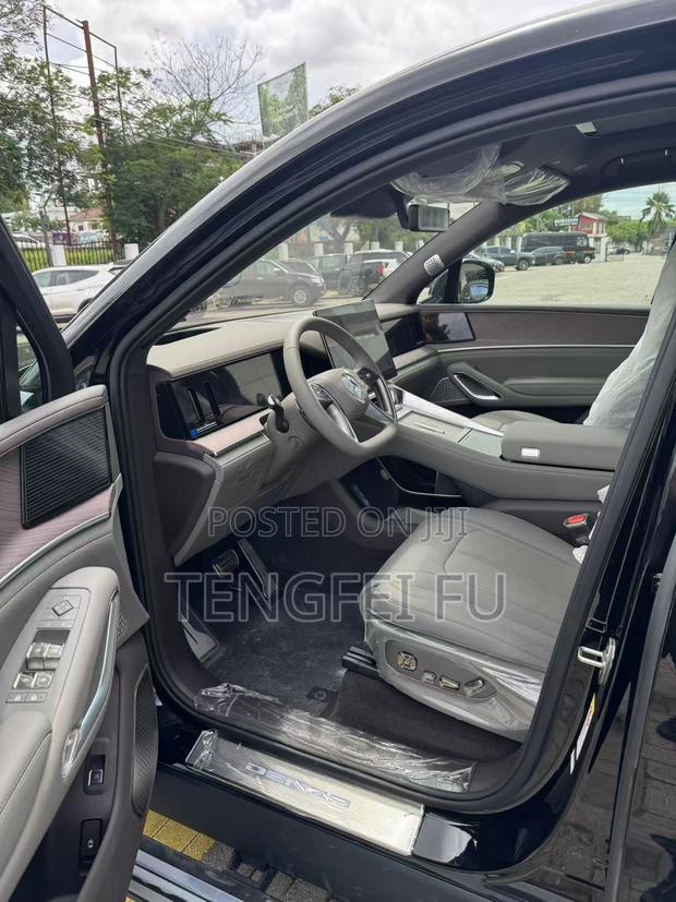 New Denza N9 2.0 Hybrid AWD 2025 Black