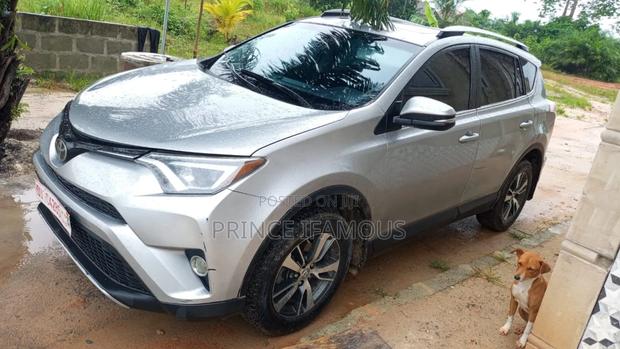 Toyota RAV4 XLE 4dr SUV (2.5L 4cyl 6A) 2018 Silver
