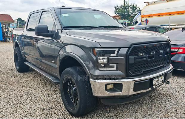 Ford F-150 2016 Gray