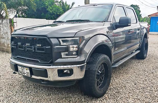 Ford F-150 2016 Gray