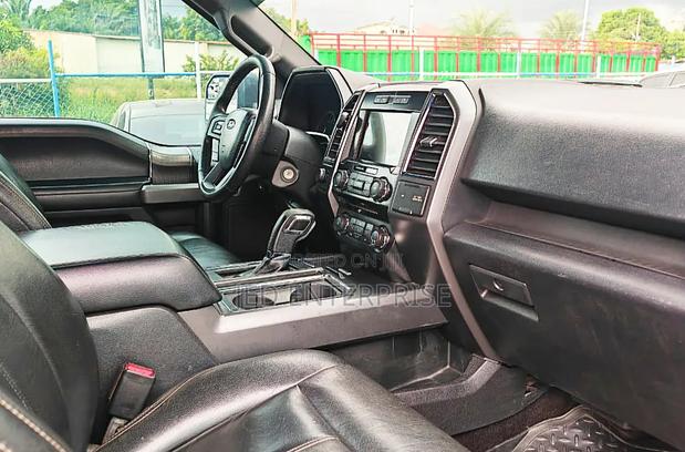 Ford F-150 2016 Gray