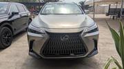 Lexus NX 350 AWD 2024 Gray for sale