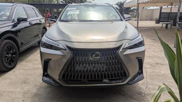 Lexus NX 350 AWD 2024 Gray