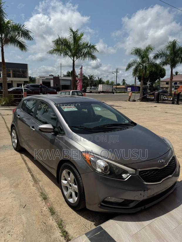 Kia Forte EX Hatchback 2015 Gray