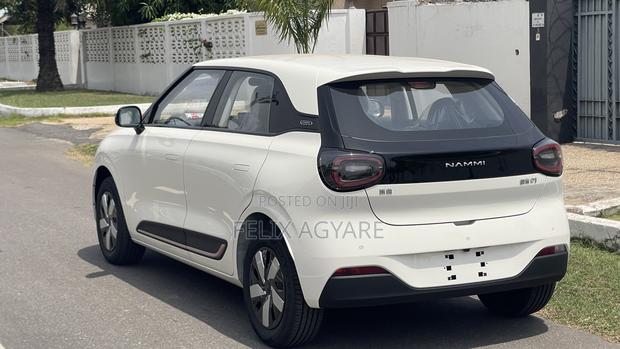 New Dongfeng Nammi 01 2025 White