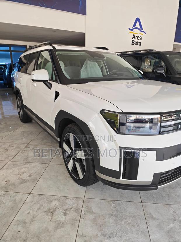 New Hyundai Santa Fe Calligraphy 2024 White