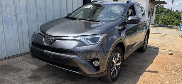 Toyota RAV4 XLE 4dr SUV AWD (2.5L 4cyl 6A) 2018 Gray