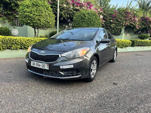 Kia Forte 2013 Gray