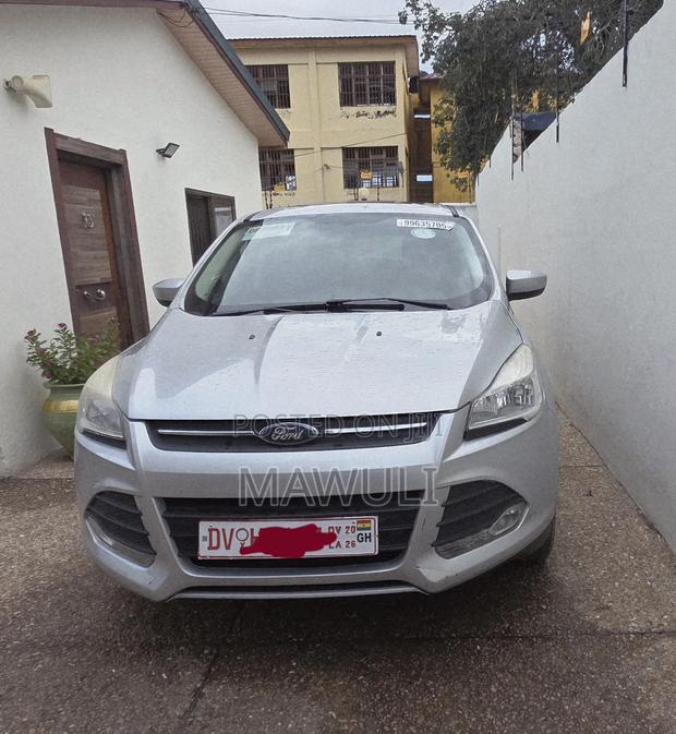 Ford Escape SE 2013 Silver