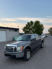 Ford F-150 FX4 2012 Silver for sale