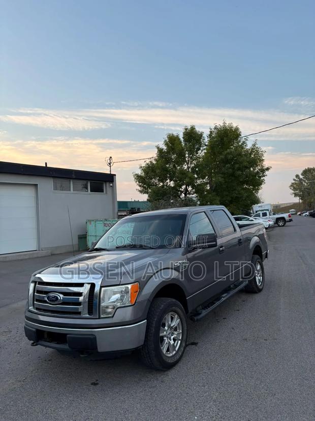 Ford F-150 FX4 2012 Silver