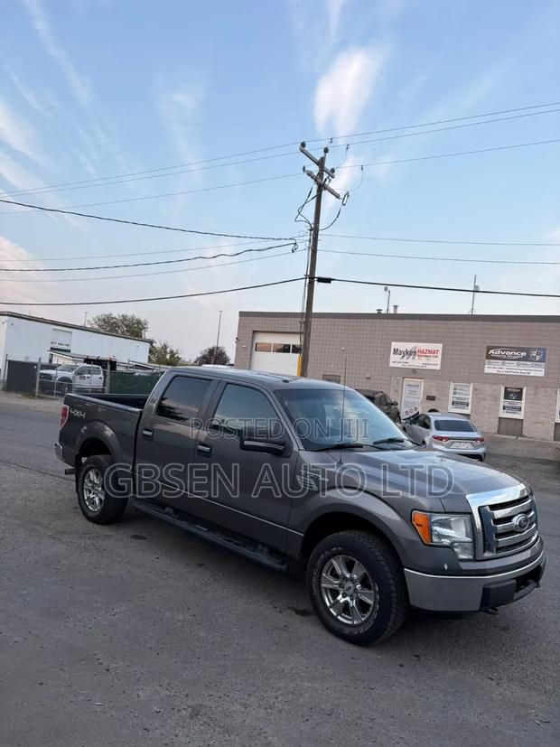 Ford F-150 FX4 2012 Silver