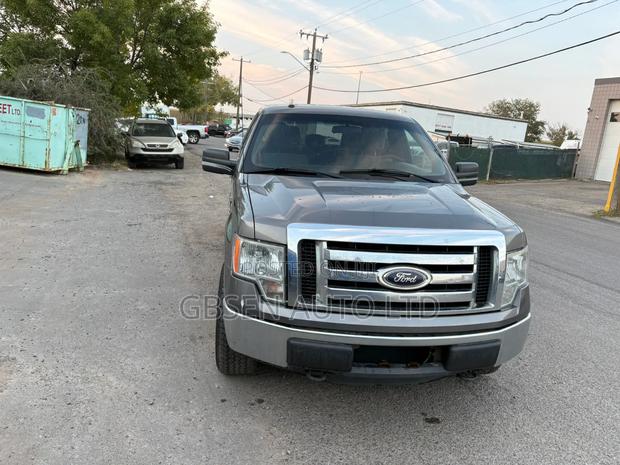 Ford F-150 FX4 2012 Silver