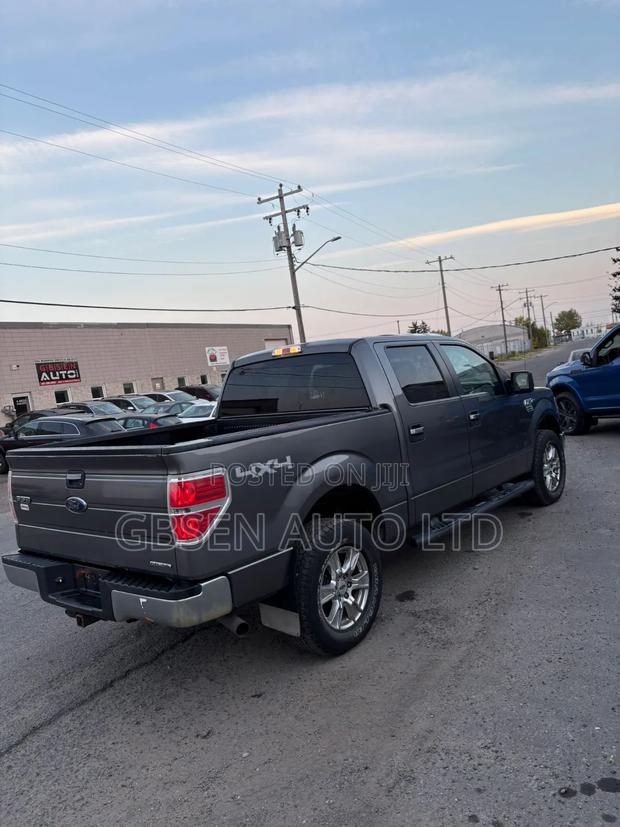 Ford F-150 FX4 2012 Silver