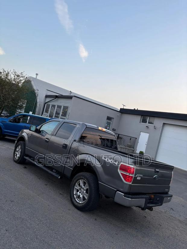 Ford F-150 FX4 2012 Silver