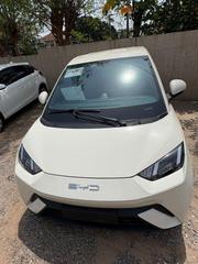 New BYD Seagull 30 kWh FWD 2023 White for sale