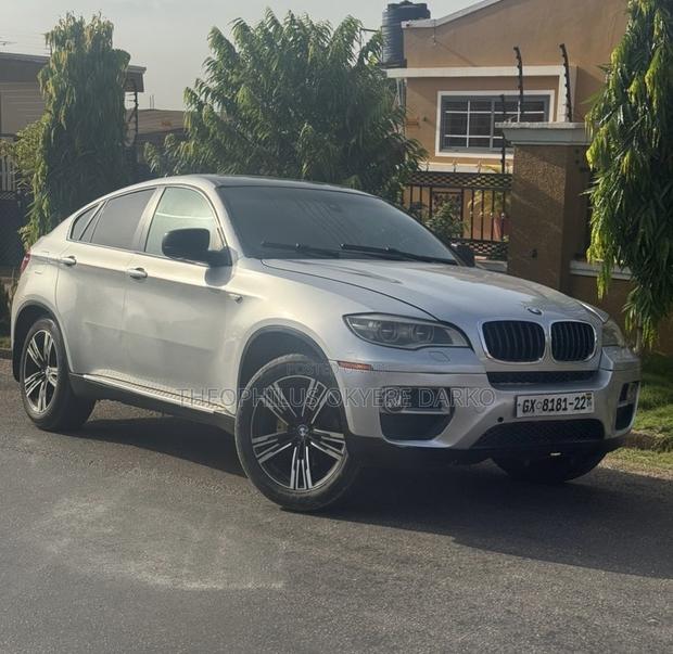 BMW X6 xDrive50i 4x4 Coupe (4.4L 8cyl 8A) 2013 Silver