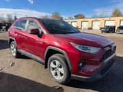 Toyota RAV4 XLE AWD 2020 Red for sale